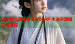 哔咔哔咔漫画是否有对应的小说资源解析与推荐