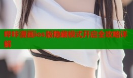 哔咔漫画ios版隐藏模式开启全攻略详解