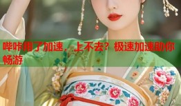 哔咔用了加速，上不去？极速加速助你畅游
