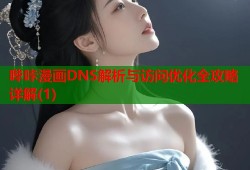 哔咔漫画DNS解析与访问优化全攻略详解(1)