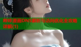 哔咔漫画DNS解析与访问优化全攻略详解(1)