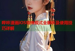 哔咔漫画iOS特殊模式全解析及使用技巧详解