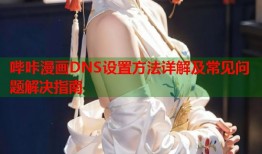 哔咔漫画DNS设置方法详解及常见问题解决指南