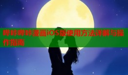 哔咔哔咔漫画iOS版使用方法详解与操作指南