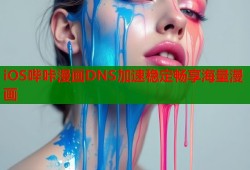 iOS哔咔漫画DNS加速稳定畅享海量漫画
