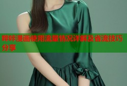 哔咔漫画使用流量情况详解及省流技巧分享