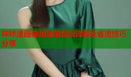 哔咔漫画使用流量情况详解及省流技巧分享