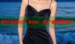 哔咔漫画iOS Beta：无广告护眼模式