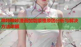哔咔哔咔漫画加载缓慢原因分析与解决方法详解