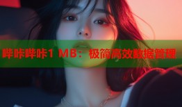 哔咔哔咔1 MB：极简高效数据管理