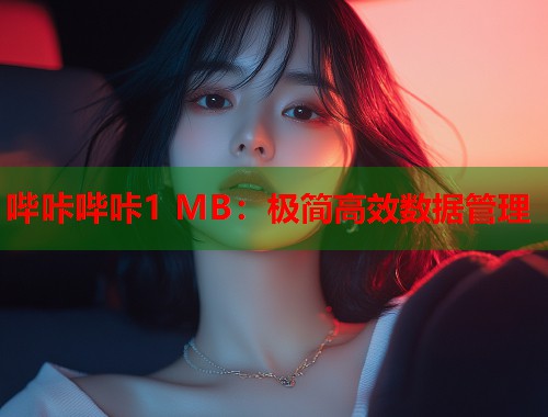 哔咔哔咔1 MB：极简高效数据管理