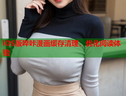 iOS版哔咔漫画缓存清理，优化阅读体验