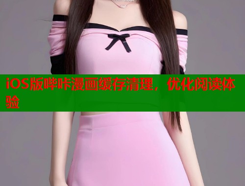 iOS版哔咔漫画缓存清理，优化阅读体验