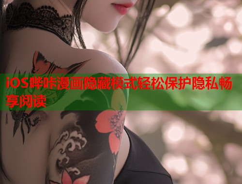 iOS哔咔漫画隐藏模式轻松保护隐私畅享阅读