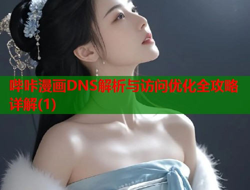 哔咔漫画DNS解析与访问优化全攻略详解(1)