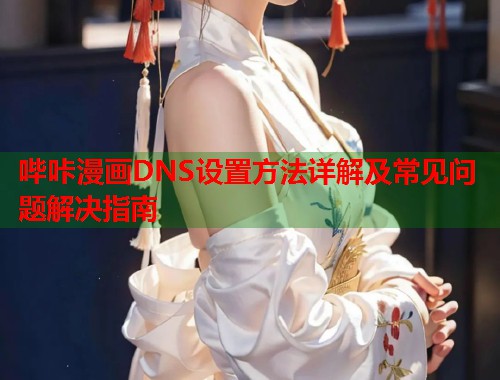 哔咔漫画DNS设置方法详解及常见问题解决指南