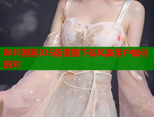 哔咔漫画iOS版遭遇下架风波用户如何应对