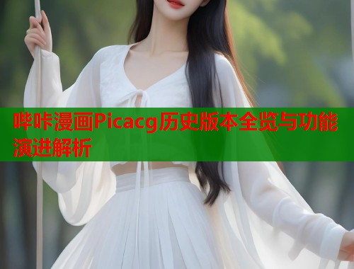 哔咔漫画Picacg历史版本全览与功能演进解析