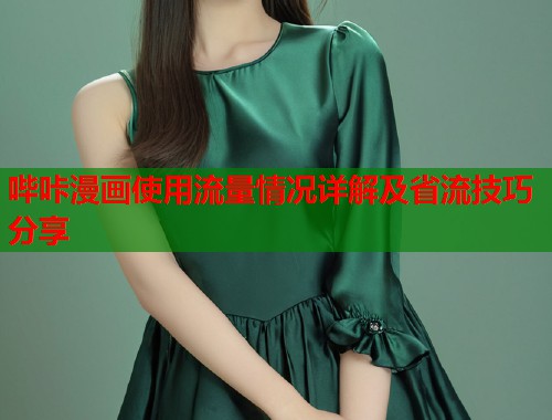 哔咔漫画使用流量情况详解及省流技巧分享